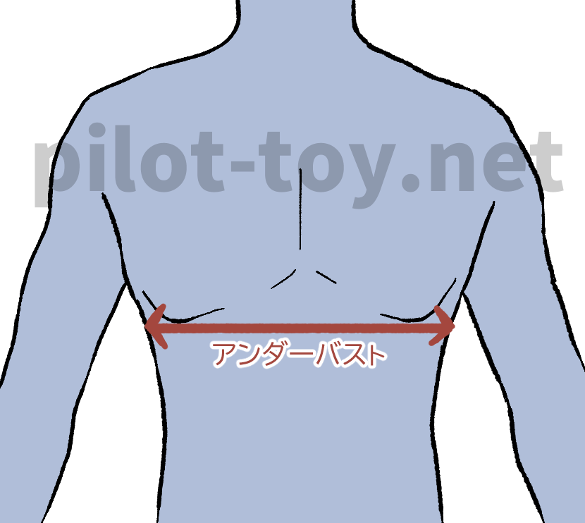 男性のアンダーバストの位置を表したイラスト